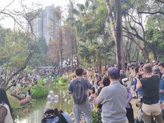 -人民公园(罗湖区)