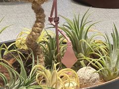 -虹御轩·传承江浙菜(虹桥店)