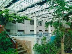-盛彼得温泉度假酒店