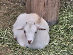 -长泰漂流水陆空景区
