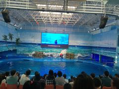 -多彩贵州城极地海洋世界