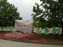-御林古桑园