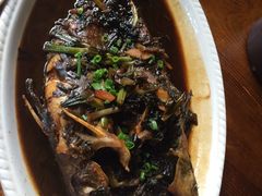 红烧昂刺鱼-观桥阁(锦溪店)