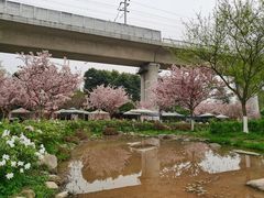 -秀丽东方