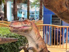 -海合安武汉极地海洋公园