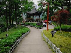 -重庆彩云湖湿地公园