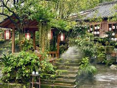 -青城甲(青城山店)