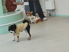 -怪兽屋·羊驼·猫咖·狗咖(俊华广场店)