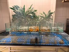 -厦门艾美酒店·新食谱西餐厅