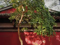 -乌山风景区