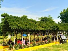 -武汉紫薇都市田园