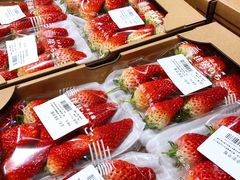-麦德龙(闵行店)