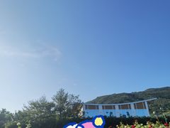 -亚龙湾国际玫瑰谷