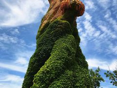 景点-大连海昌发现王国主题公园