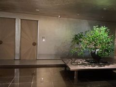 -隐溪茶馆(静安寺店)