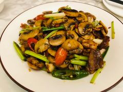 -金蝉食府(维吉奥广场店)