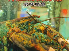 -有腥气私房菜·寻味顺德