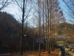 -白水寺森林公园
