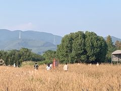 -良渚古城遗址公园