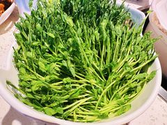 活体豆苗-三人行骨头王火锅(长寿店)