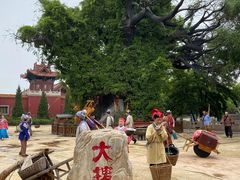 -大槐树寻根祭祖园