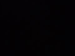 -济南喜来登酒店