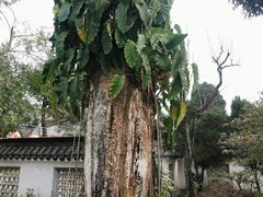-中山詹园