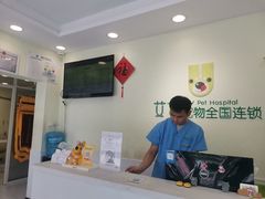 -艾吉宠物医院·疑难杂症转诊中心·猫友好(碧江路院)
