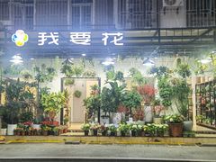 -溪岸路花鸟市场