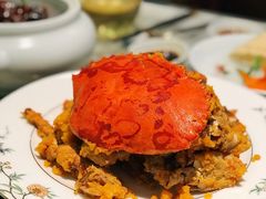 芙蓉膏蟹-蝶园·装修中(BFC外滩金融中心店)