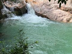 -广州白江湖森林公园