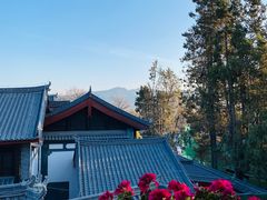 -有一锅·野生菌黑山羊腊排骨火锅(古城北门店)