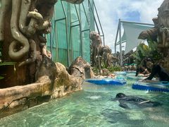 -新加坡水上探险乐园