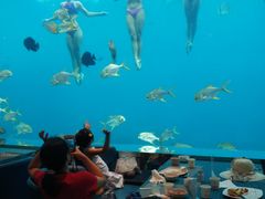 -瑞德姆美人鱼海底演艺主题餐厅(亚龙湾店)