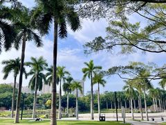 -南宁南湖公园