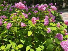 -苏州河梦清园环保主题公园