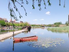 -前关湿地公园