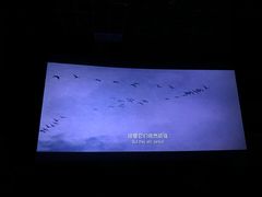 -金逸影城(大悦城IMAX激光店)