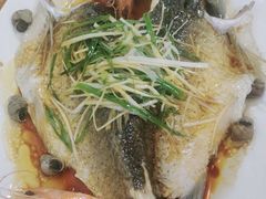 -东鸽皇(奥园·中环广场店)