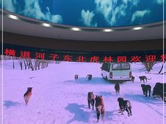 -横道河子东北虎林园