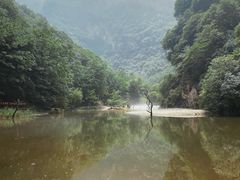 -少华山国家森林公园
