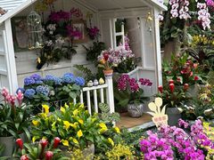 -北京植物园-展览温室