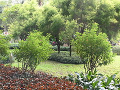 -晓港公园