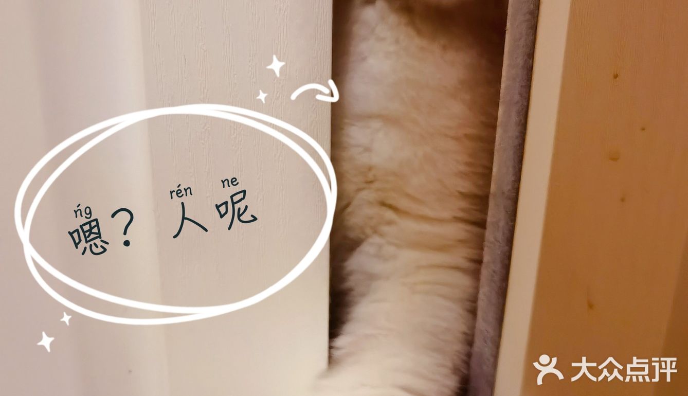 泡泡糖的日常——禁闭篇
