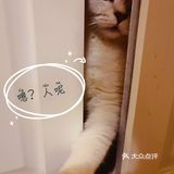 泡泡糖的日常——禁闭篇