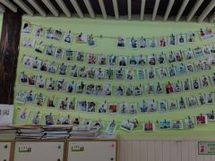 -学知乐教育·幼小衔接·小学科辅导(嘉定镇校区)