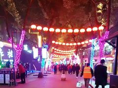 -绳金塔