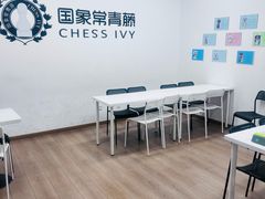 -常青藤国际象棋(新奥店)