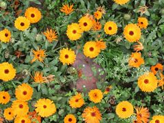 -白鹭湾湿地公园