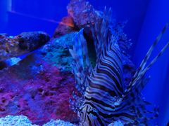 -上海海洋水族馆